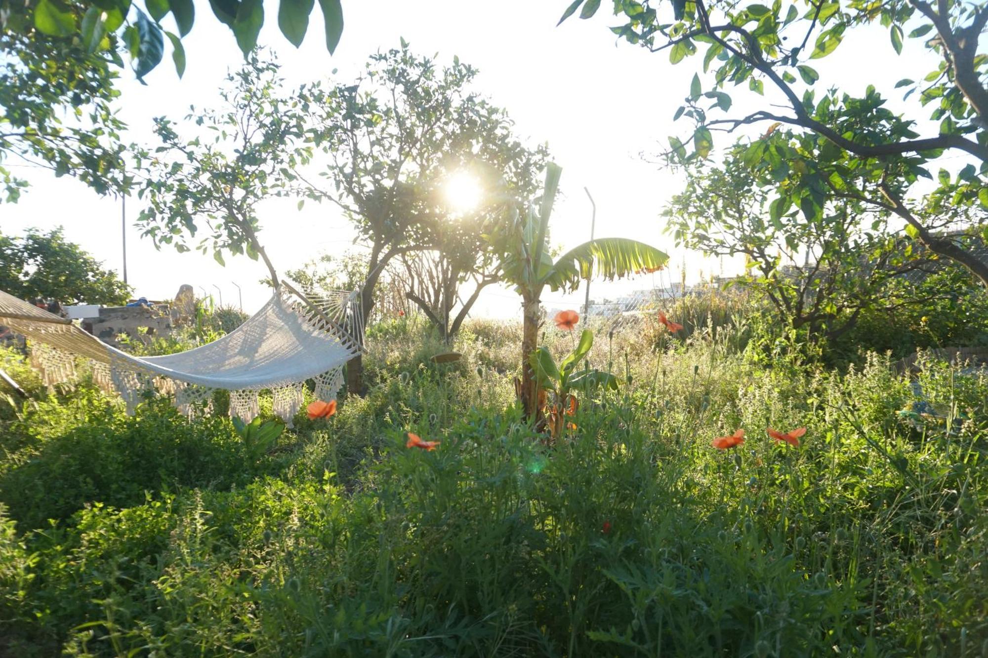 Biofinca Casa El Riego غيمار المظهر الخارجي الصورة
