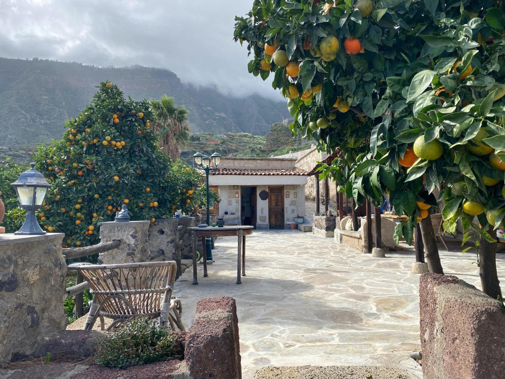Biofinca Casa El Riego غيمار المظهر الخارجي الصورة